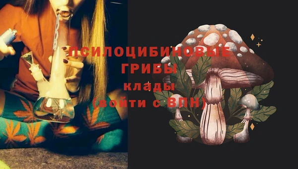 СК Алексеевка