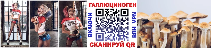 Галлюциногенные грибы прущие грибы  где найти наркотики  Нефтекумск 