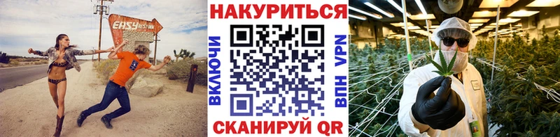 KRAKEN онион хочу наркоту Нефтекумск Бошки Шишки сатива